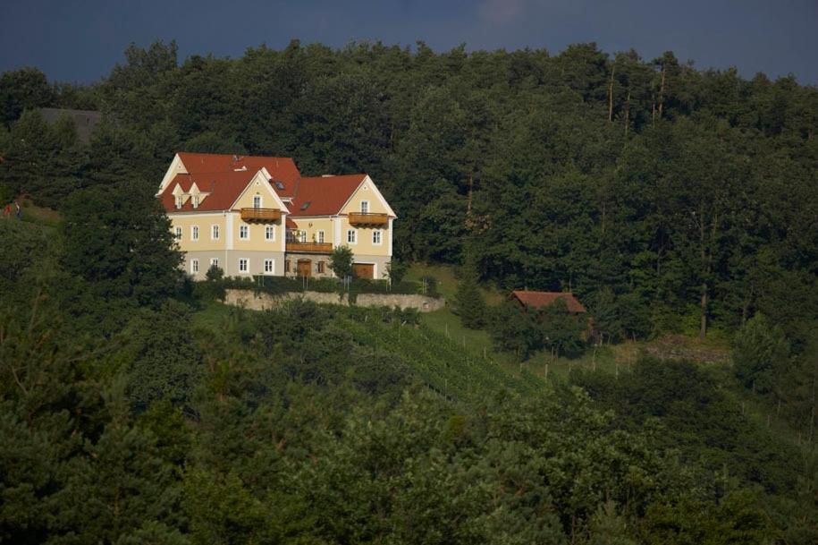 Winzerhaus Friedrich Apartment Kaindorf  ภายนอก รูปภาพ